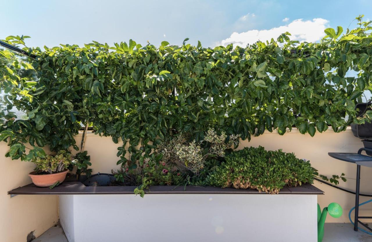 Apartmán Casa Colibri - Solemar Sicilia Santa Flavia Exteriér fotografie